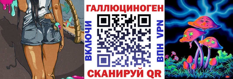 Купить  Суздаль  Галлюциногенные грибы прущие грибы 
