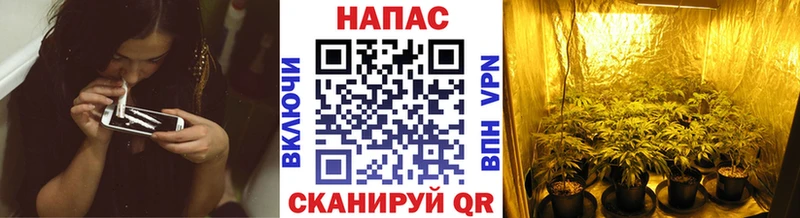 МАРИХУАНА MAZAR  Купить  Суздаль 